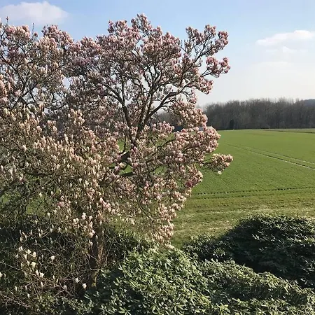 Auf Dem Land Und Trotzdem Stadtnah. Lägenhet *