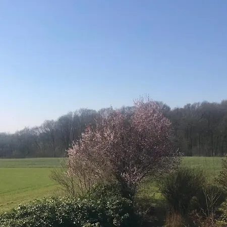 Auf Dem Land Und Trotzdem Stadtnah. *