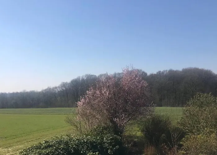 Auf Dem Land Und Trotzdem Stadtnah. *